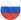 Russia flag